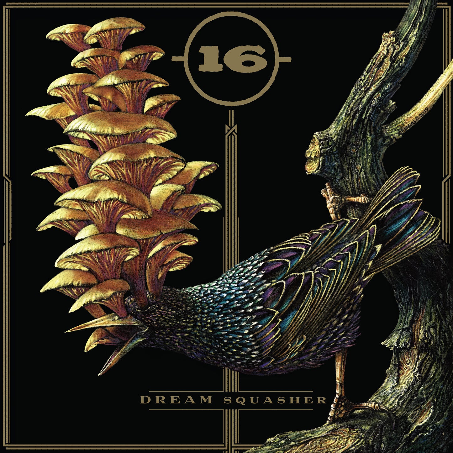 16  - DREAM SQUASHER