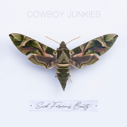 COWBOY JUNKIES  - SUCH FEROCIOUS BEAUTY