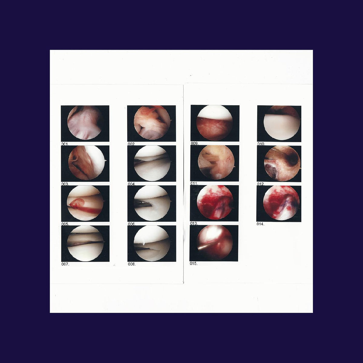 CRADLE, THE - LAUGHING IN MY SLEEP