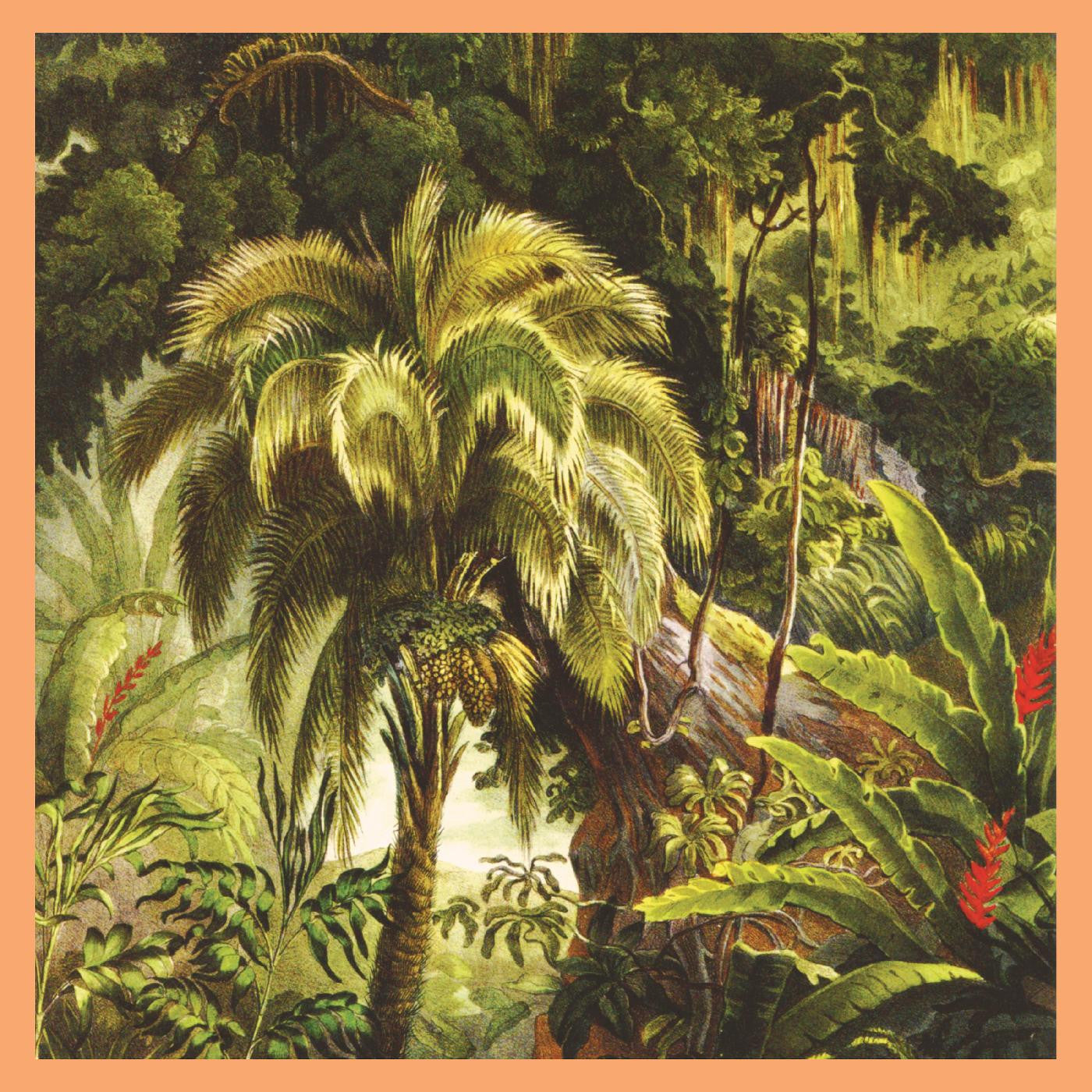 XIU XIU - LA FORET (JADE ECO-MIX VINYL)