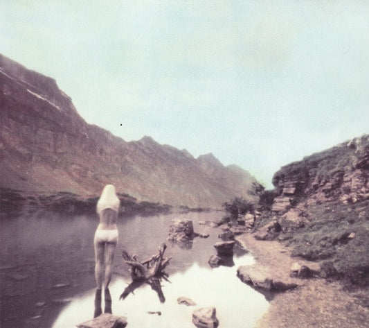 THUS: OWLS  - HARBOURS