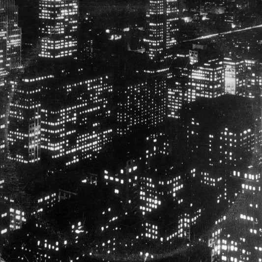 TIMBER TIMBRE  - SINCERELY, FUTURE POLLUTION