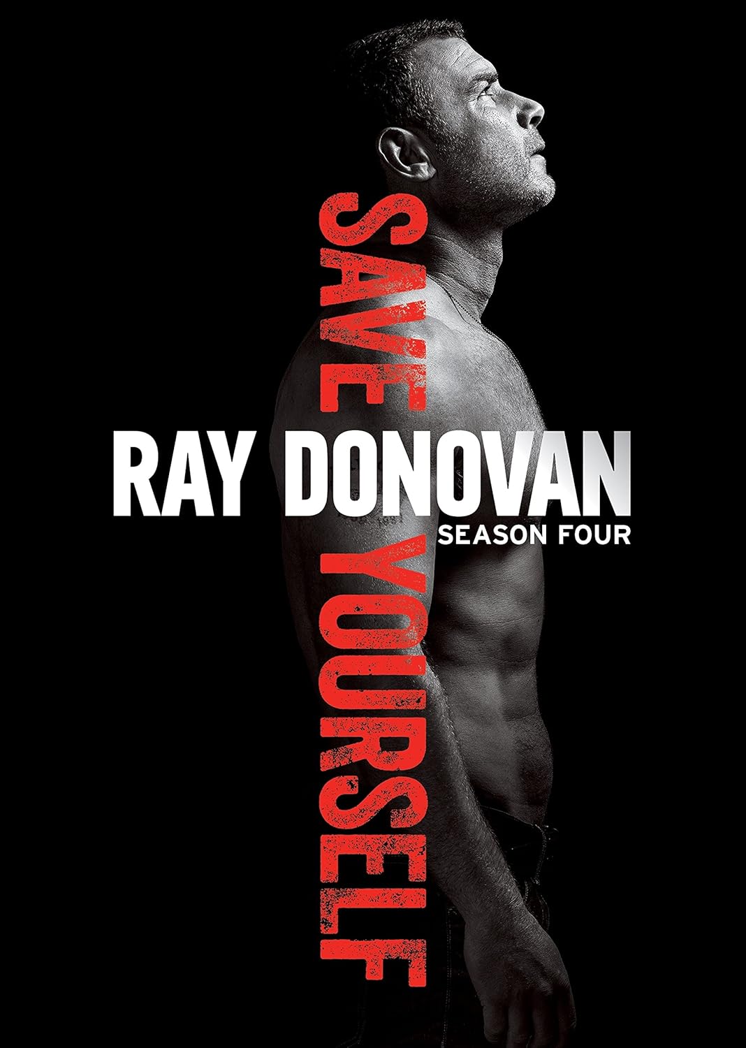 RAY DONOVAN  - DVD-SEASON FOUR