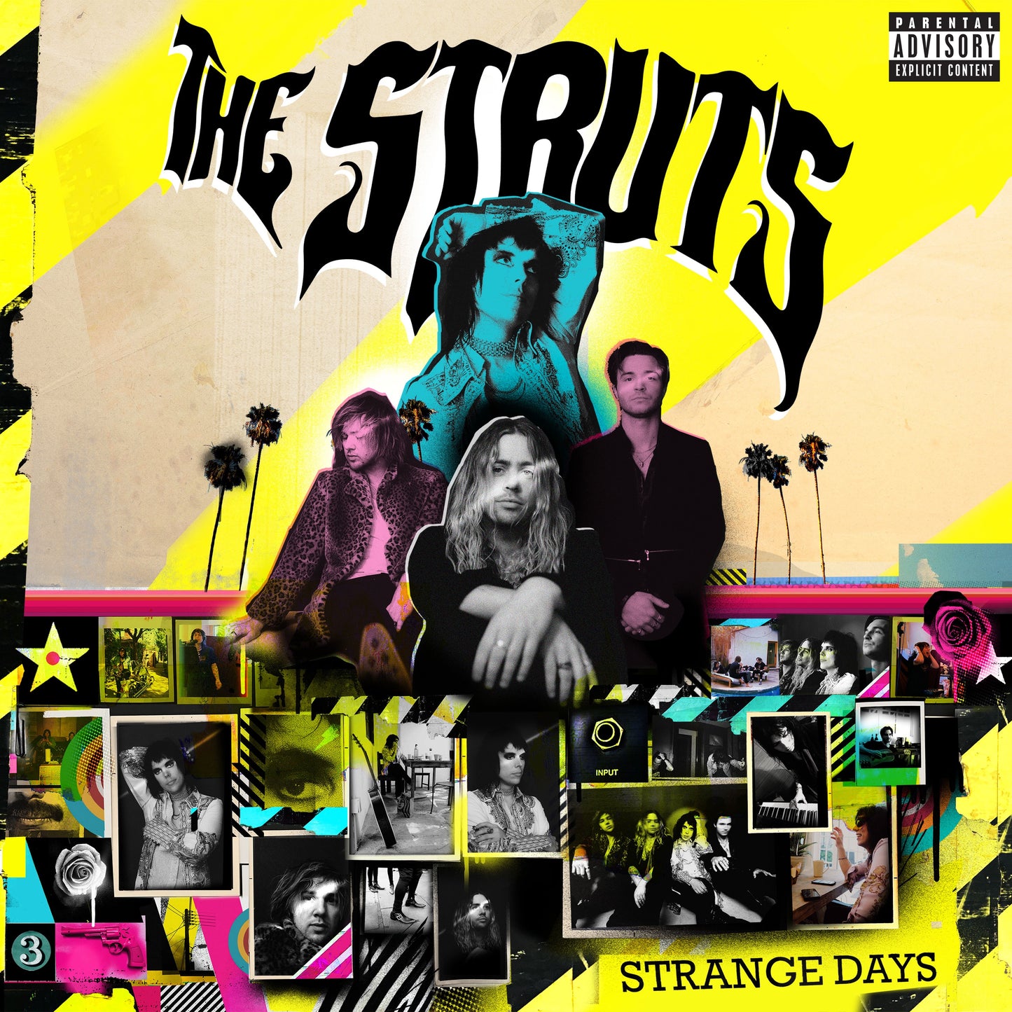 STRUTS  - STRANGE DAYS