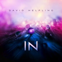 DAVID HELPLING - IN [LP]