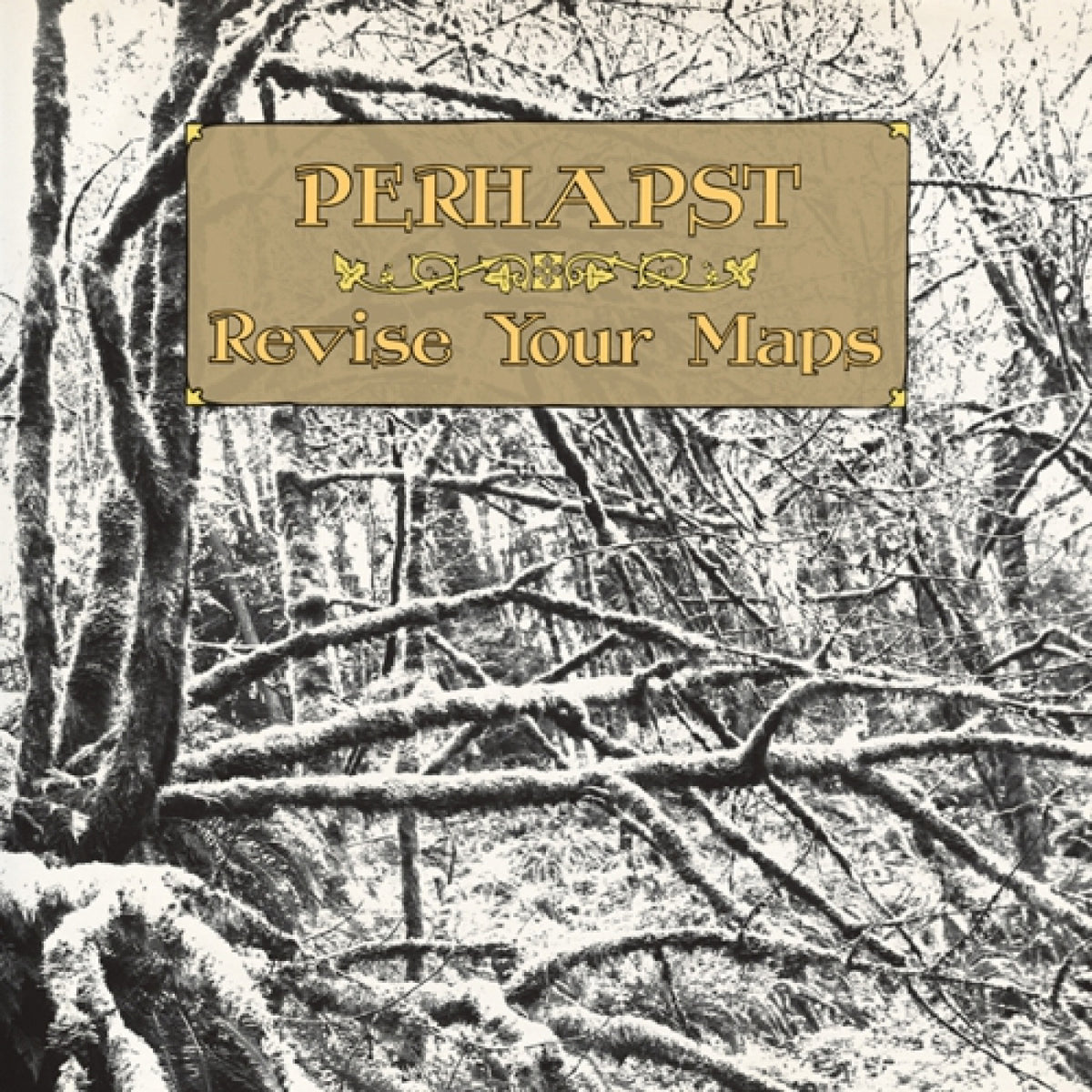 PERHAPST - REVISE YOUR MAPS