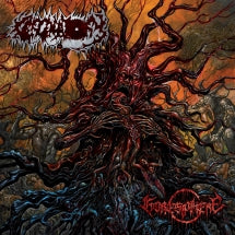 CERCENATORY - GORESPHERE [CD]