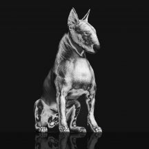 RISKEE & THE RIDICULE - PLATINUM STATUE [CD]