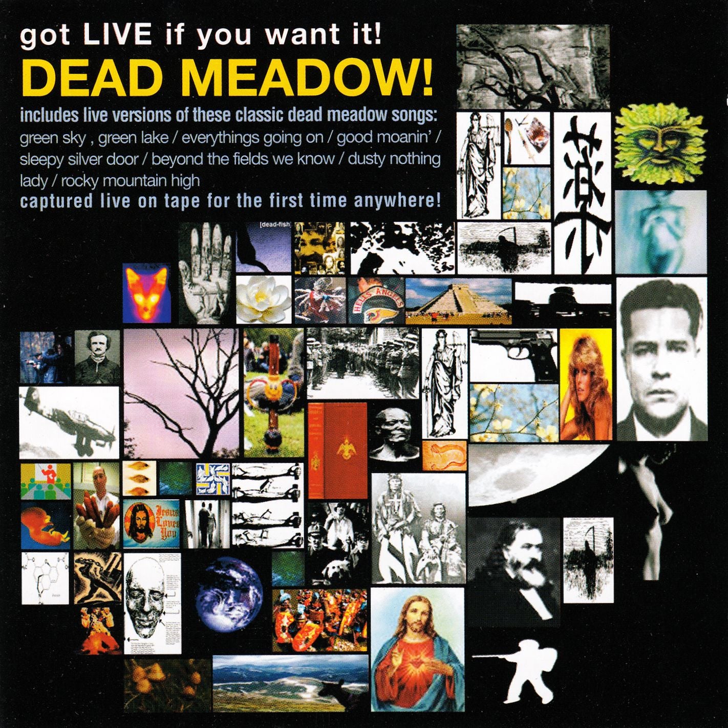 DEAD MEADOW  - GOT LIVE IF YOU WANT IT