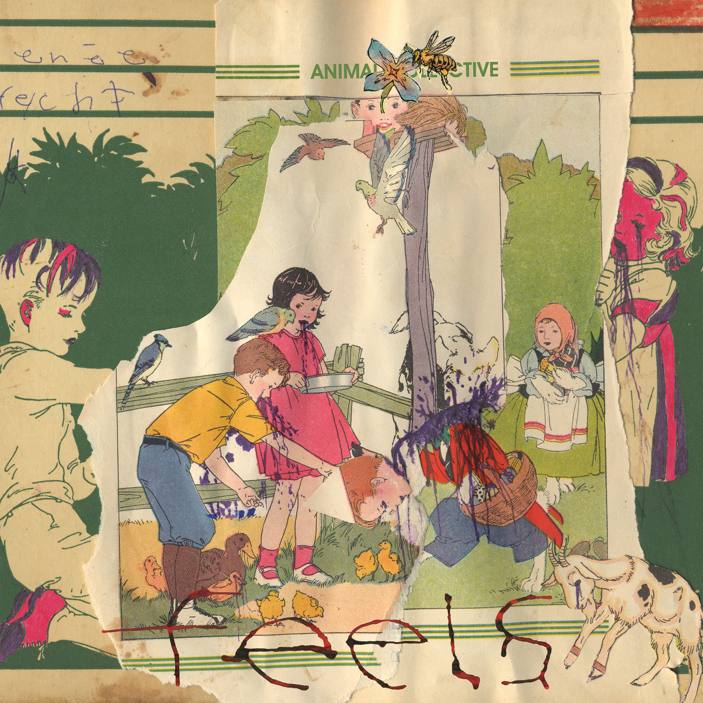 ANIMAL COLLECTIVE  - FEELS (2CDS)(BONUS DISC)