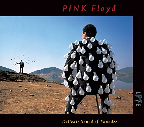 PINK FLOYD - DELICATE SOUND OF THUNDER (LIVE)