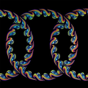 Tool - Lateralus (Picture Disc) (Used LP)