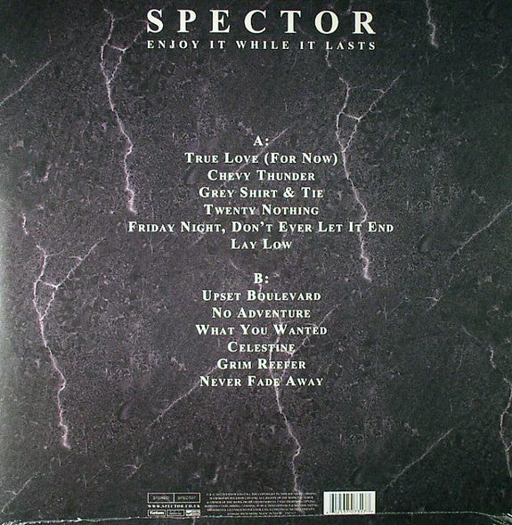 Spector - Enjoy It While It Lasts (Used LP)