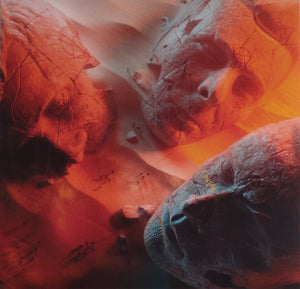 Muse - Will Of The People (Picture Disc) (Used LP)