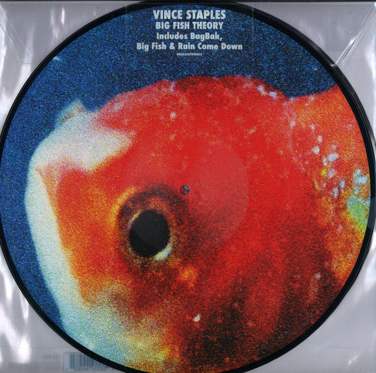 Vince Staples - Big Fish Theory (Picture Disc) (Used LP)