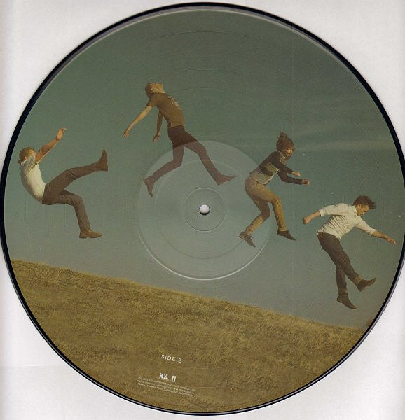 Imagine Dragons - Night Visions (Picture Disc) (Used LP)
