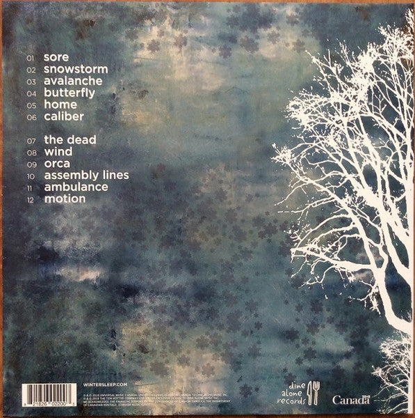 Wintersleep - Wintersleep (Used LP)