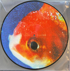 Vince Staples - Big Fish Theory (Picture Disc) (Used LP)