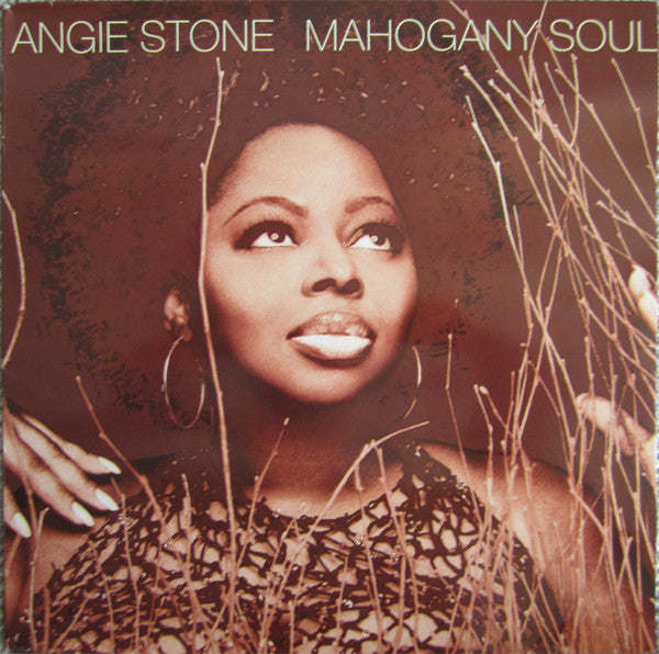 Angie Stone - Mahogany Soul (Used LP)