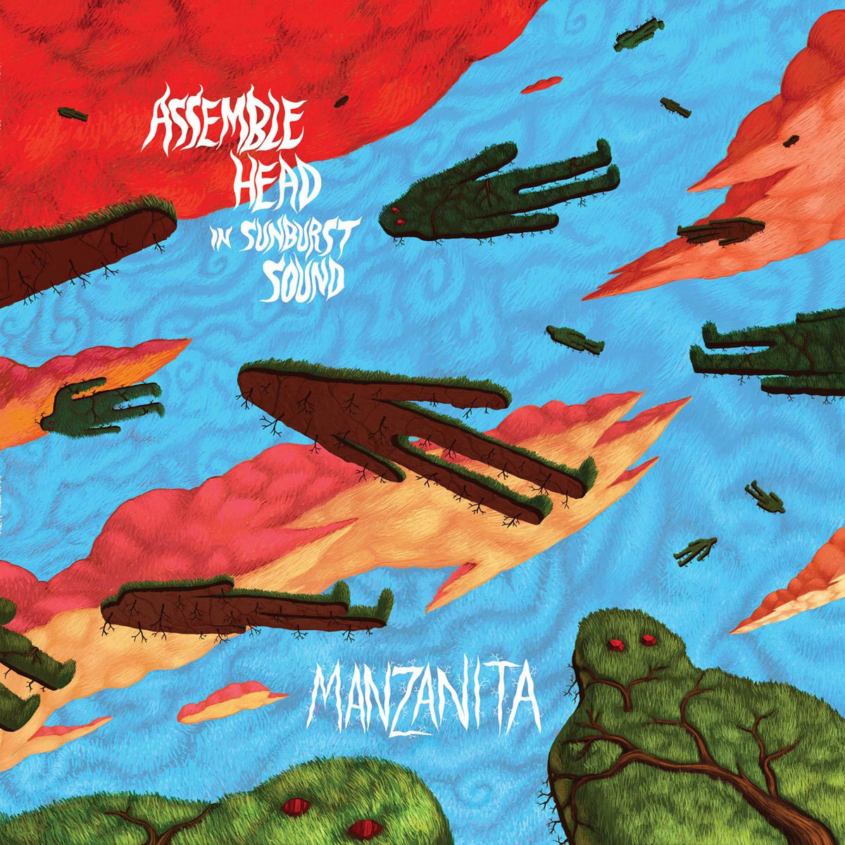 ASSEMBLE HEAD IN SUNBURST SOUND - MANZANITA
