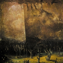 TENEBRAE IN PERPETUUM - VACUUM COELI [CD]