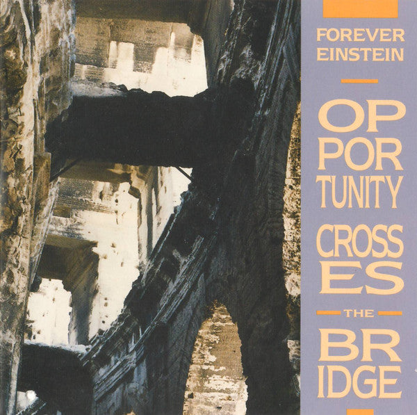 FOREVER EINSTEIN  - OPPORTUNITY CROSSES THE BRIDGE