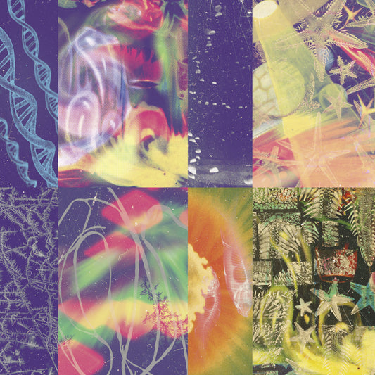 NAP EYES  - NEON GATE