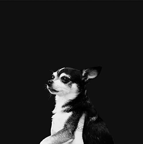 & THE KIDS - WHEN THIS LIFE IS OVER (CD)