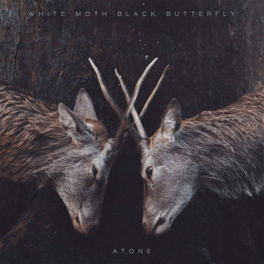 WHITE MOTH BLACK BUTTERFLY  - ATONE