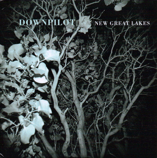 DOWNPILOT  - NEW GREAT LAKES