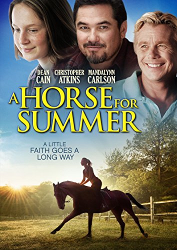 A HORSE FOR SUMMER