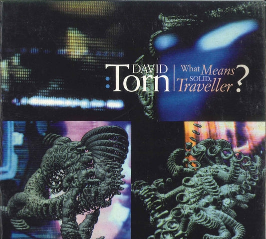 TORN, DAVID  - WHAT MEANS SOLID TRAVELLER