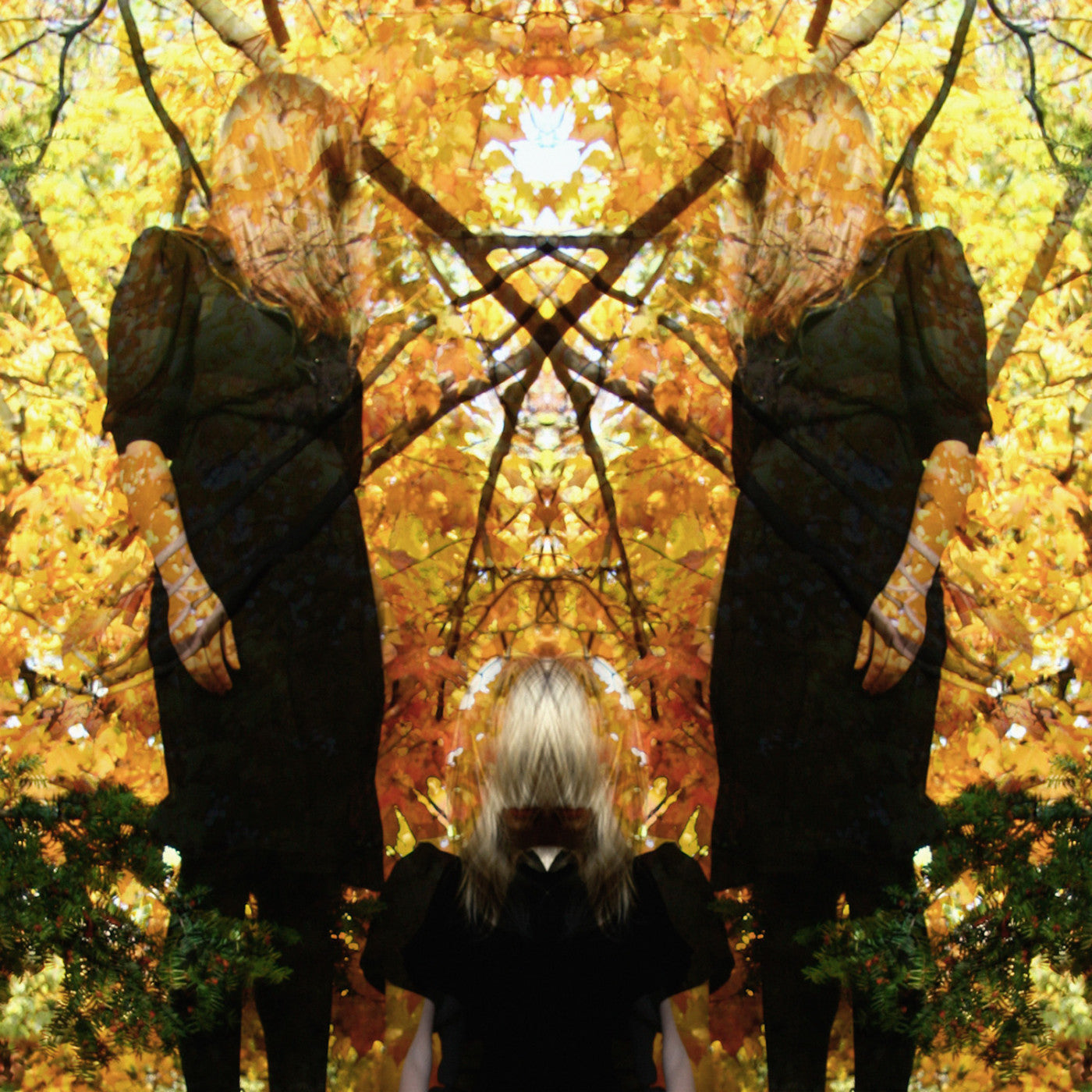 AUSTRA - FEEL IT BREAK
