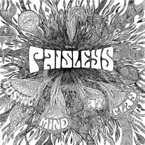 THE PAISLEYS - COSMIC MIND AT PLAY