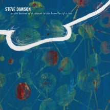 STEVE DAWSON - AT THE BOTTOM OF A CANYON IN THE BRANCHES OF A TREE [LP]