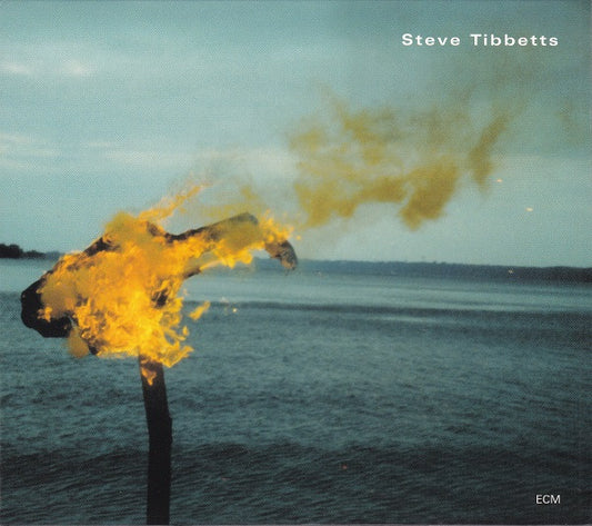 TIBBETTS, STEVE  - A MAN ABOUT A HORSE
