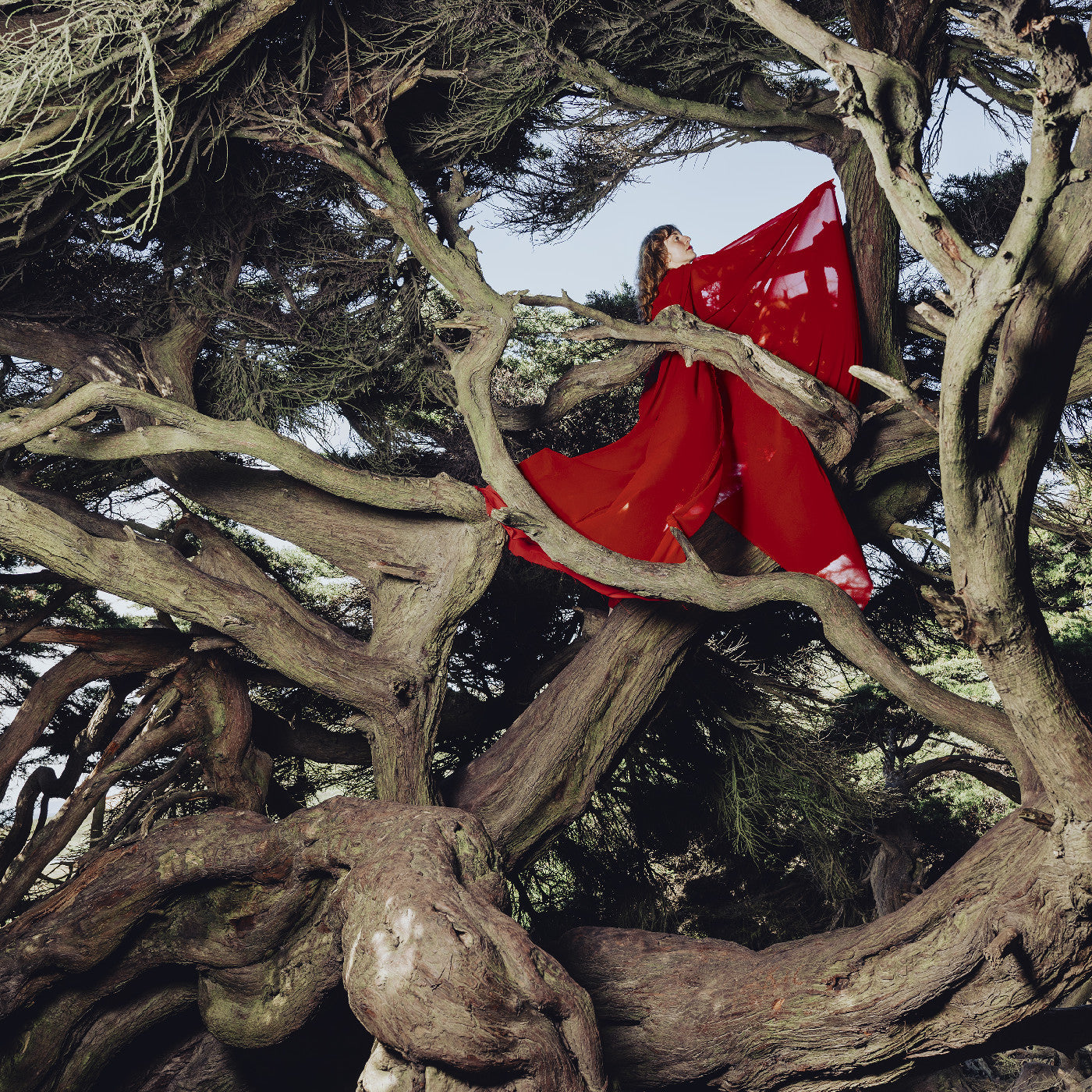 FRANCES, HANNAH - NESTED IN TANGLES (RUBY RED VINYL)