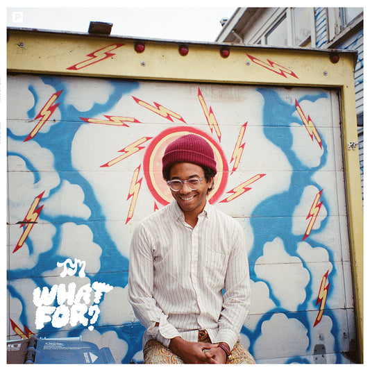 TORO Y MOI  - WHAT FOR?
