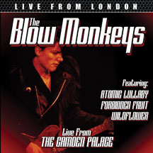 BLOW MONKEYS - LIVE FROM LONDON [CD]