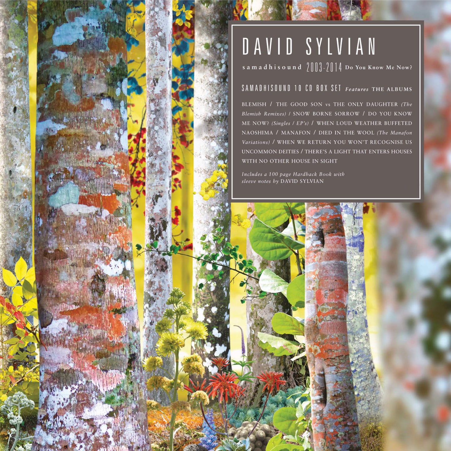 SYLVIAN, DAVID - SAMADISHOUND (2003-2014)