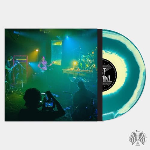 POST ANIMAL - LEVITATION SESSIONS (VINYL)