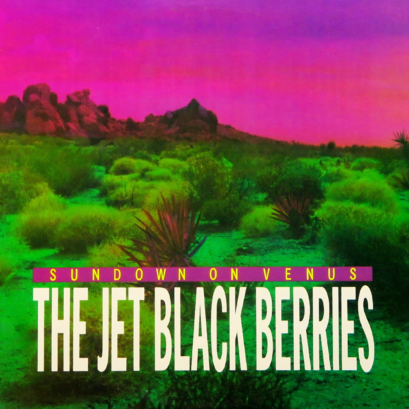 JET BLACK BERRIES, THE - SUNDOWN ON VENUS [DEFINITIVE EDITION]