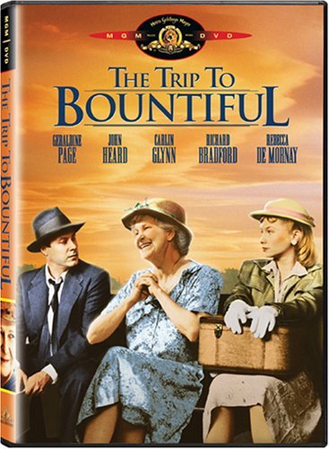 THE RIVER WILD (WIDESCREEN) (DTS)