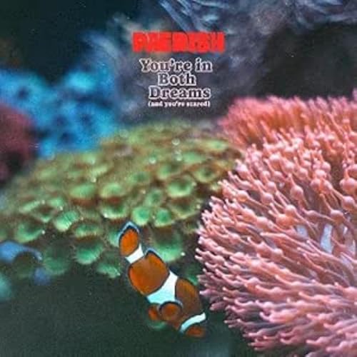 ?PÆRISH? - YOU'RE IN BOTH DREAMS (AND YOU'RE SCARED) (VINYL)