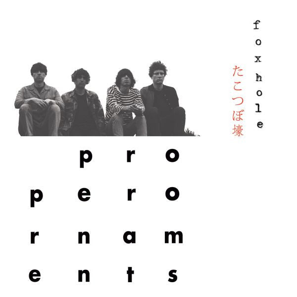 PROPER ORNAMENTS, THE - FOXHOLE