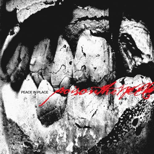 POISON THE WELL - PEACE IN PLACE (1LP SLEEVE) [ULTRA CLEAR]