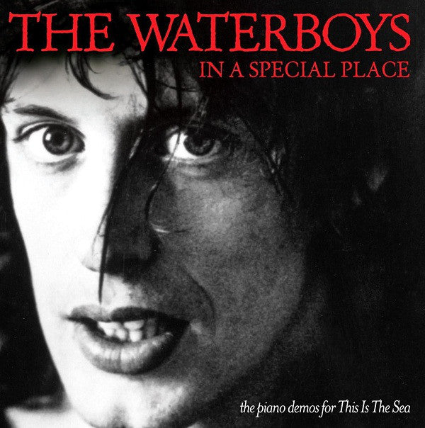 WATERBOYS  - IN A SPECIAL PLACE