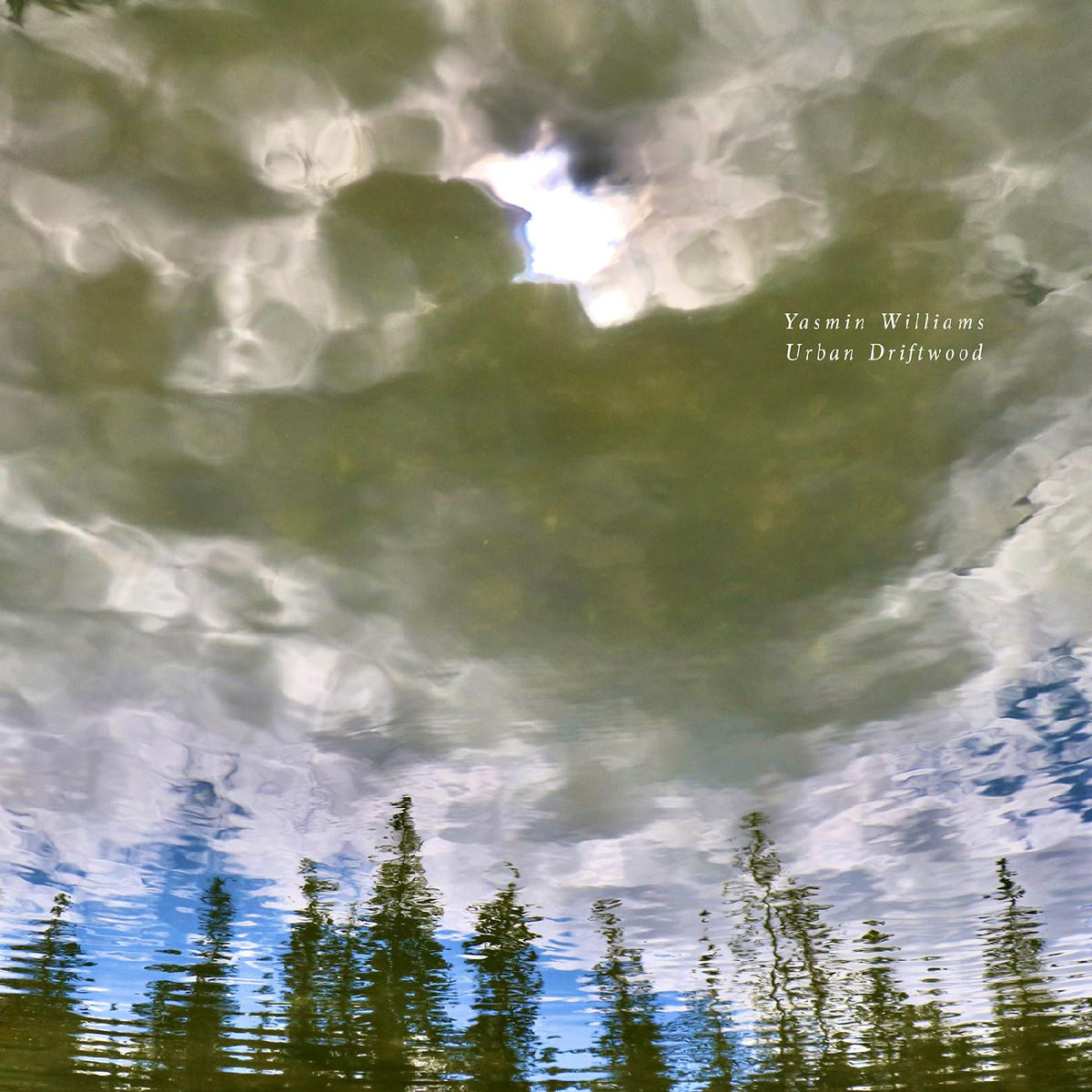 WILLIAMS, YASMIN - URBAN DRIFTWOOD