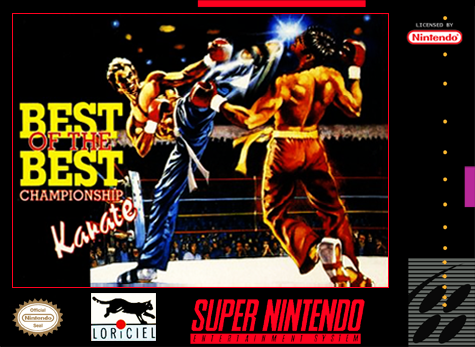 BEST OF THE BEST CHAMPIONSHIP KARATE  - SNES (W/BOX & MANUAL)
