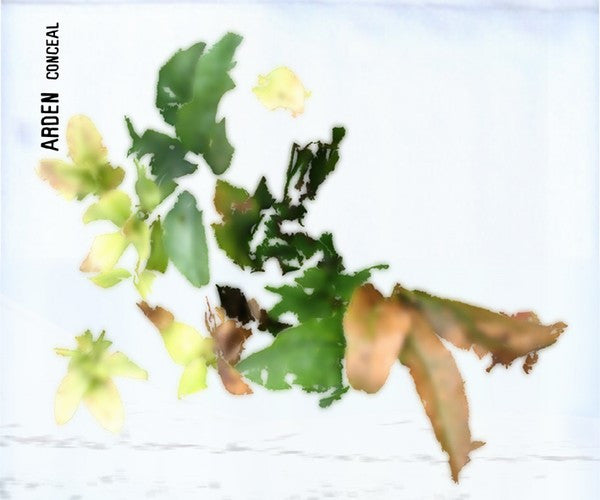 ARDEN  - CONCEAL